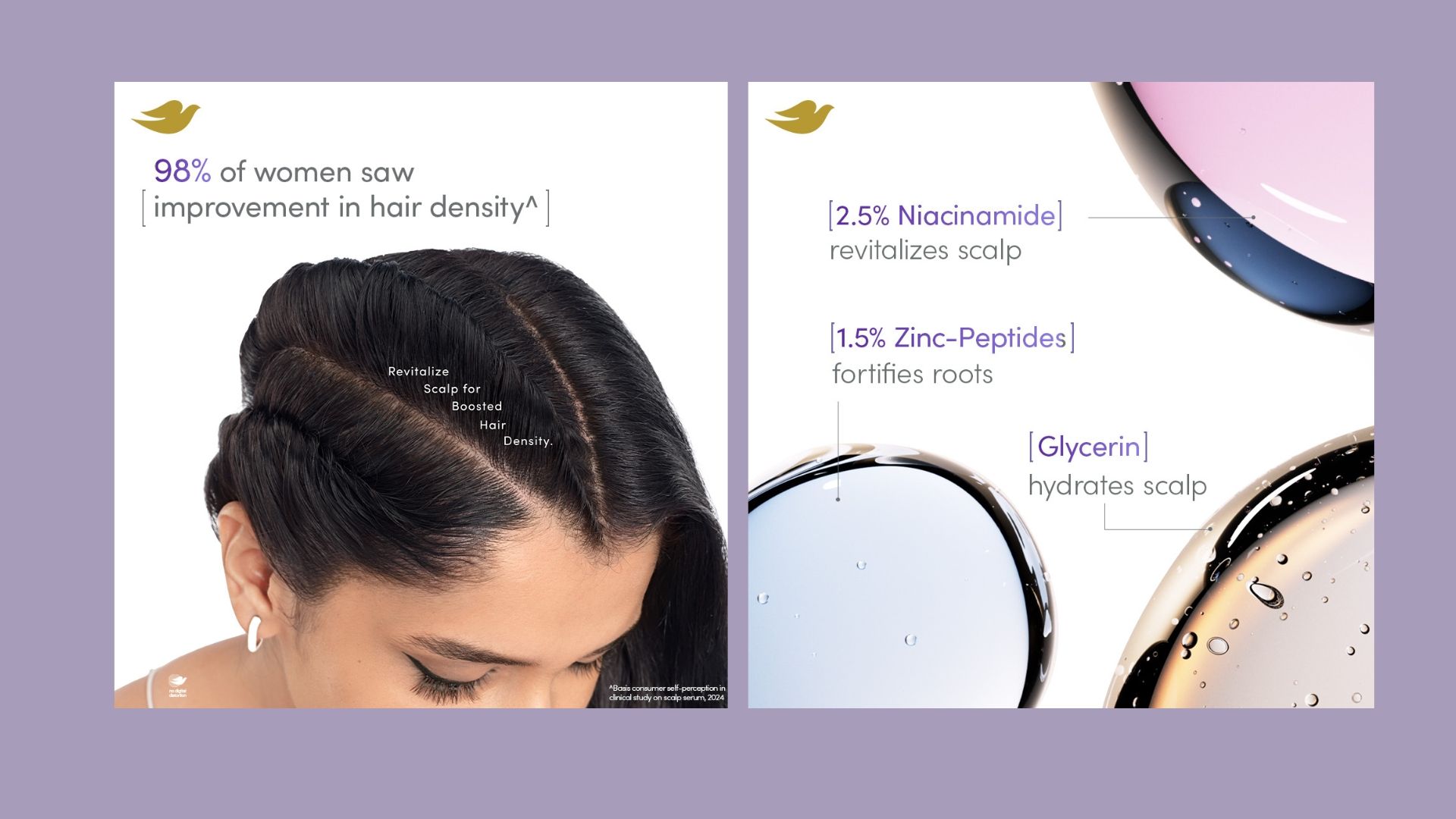 Dove Scalp + Hair Therapy information.