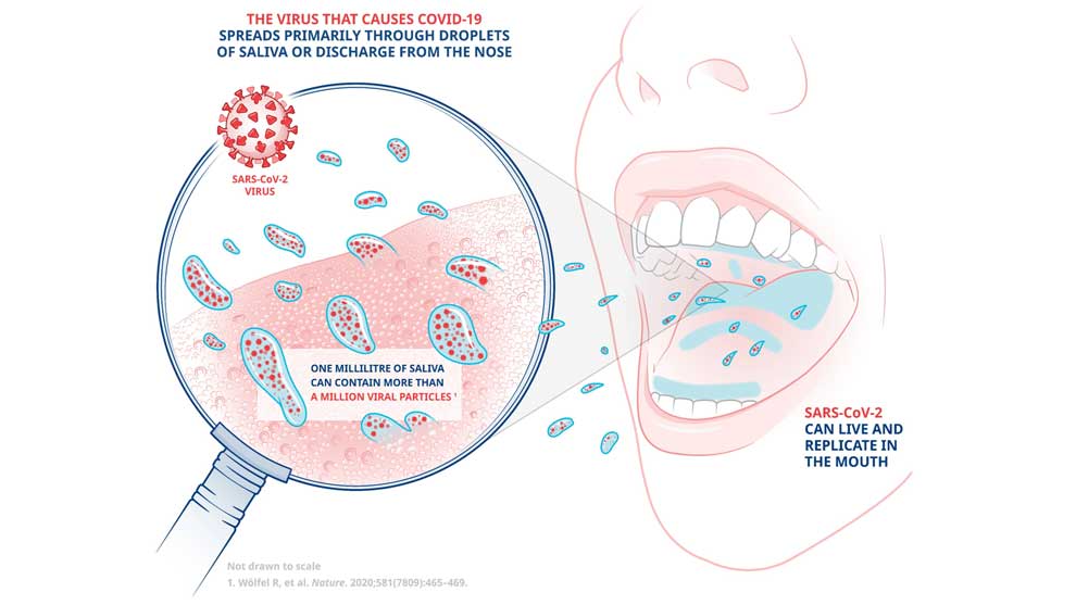 An illustration showing how the virus that causes Covid-19 spreads  through droplets of saliva or discharge from the nose