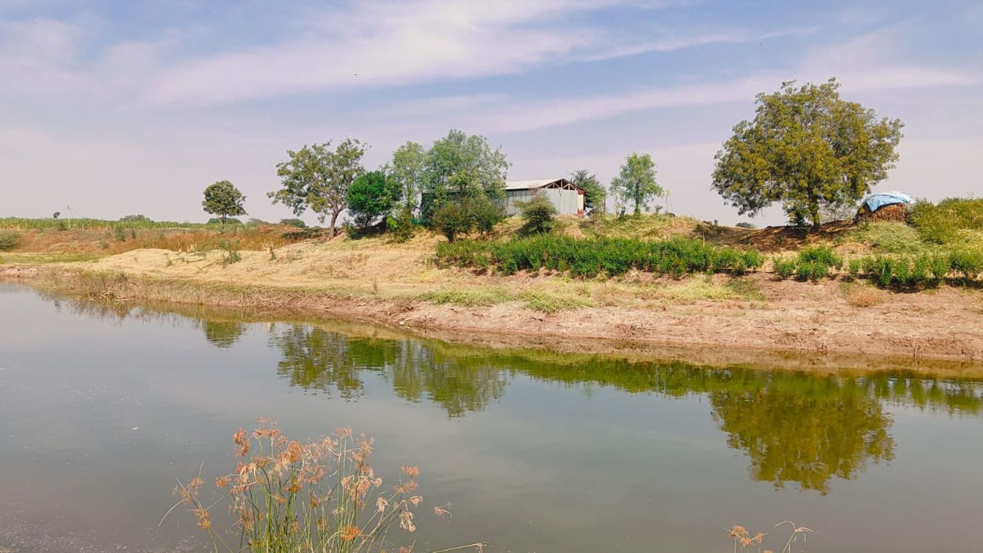 A serene river flows in the foreground, with a house and lush trees visible in the background under a clear sky.