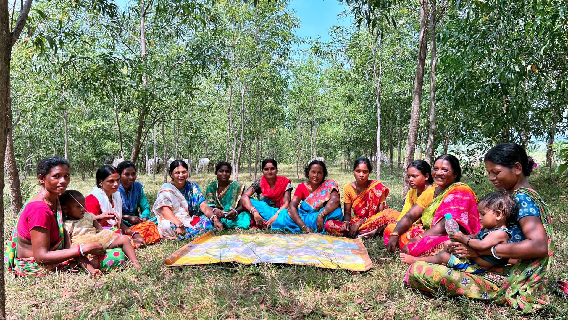 a group of people sitting on a blanket in a grassy area