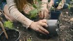 A person potting a plant