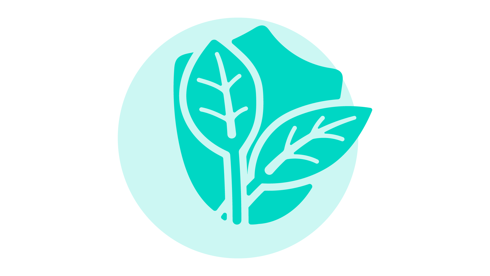 Protect and regenerate Nature icon