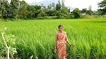 Hindustan Unilever sustainable agriculture