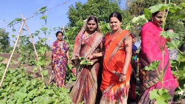 A group of women farming.