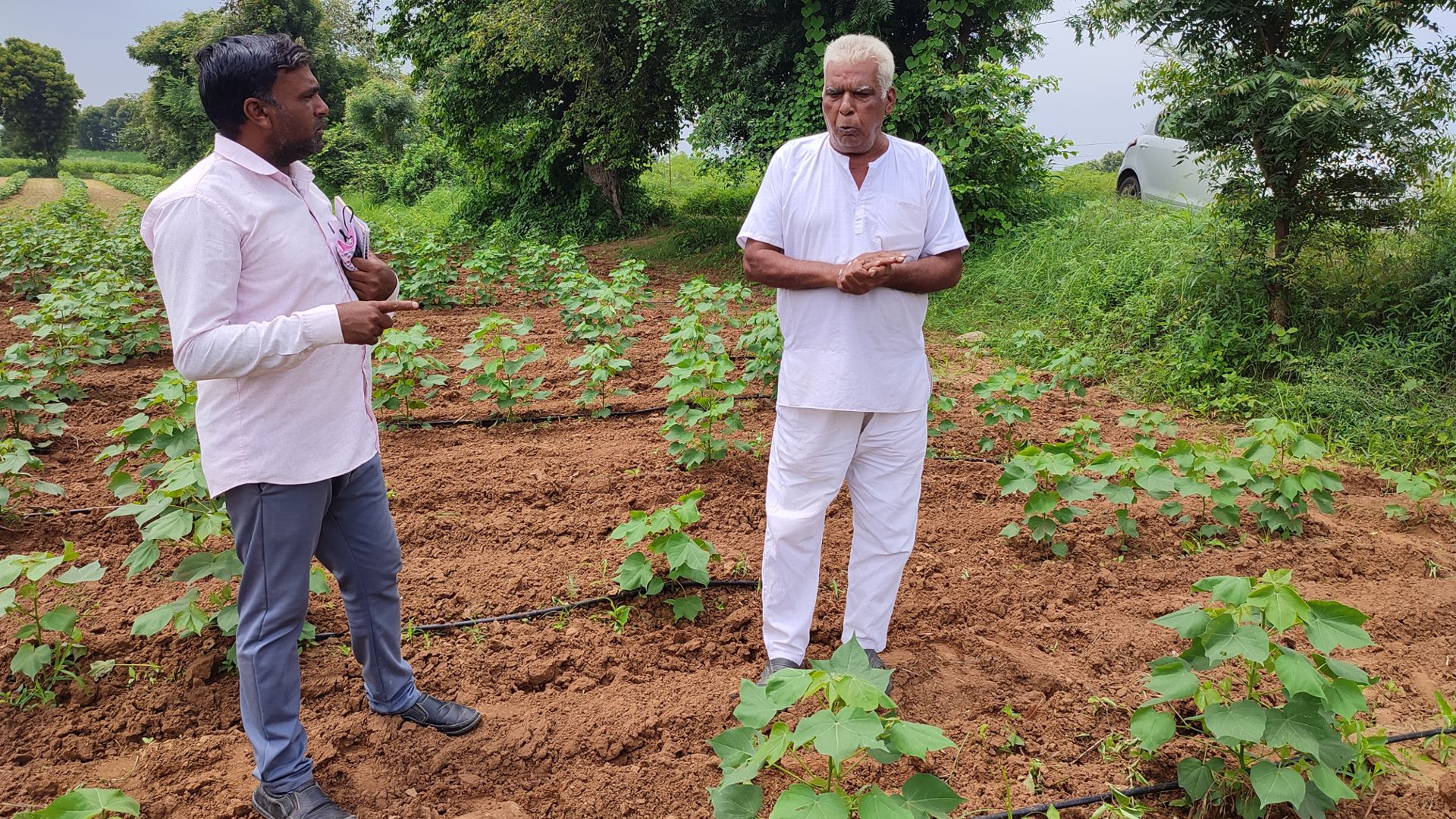 A pic taken in a vegetable farm where a man is interacting with a farmer 