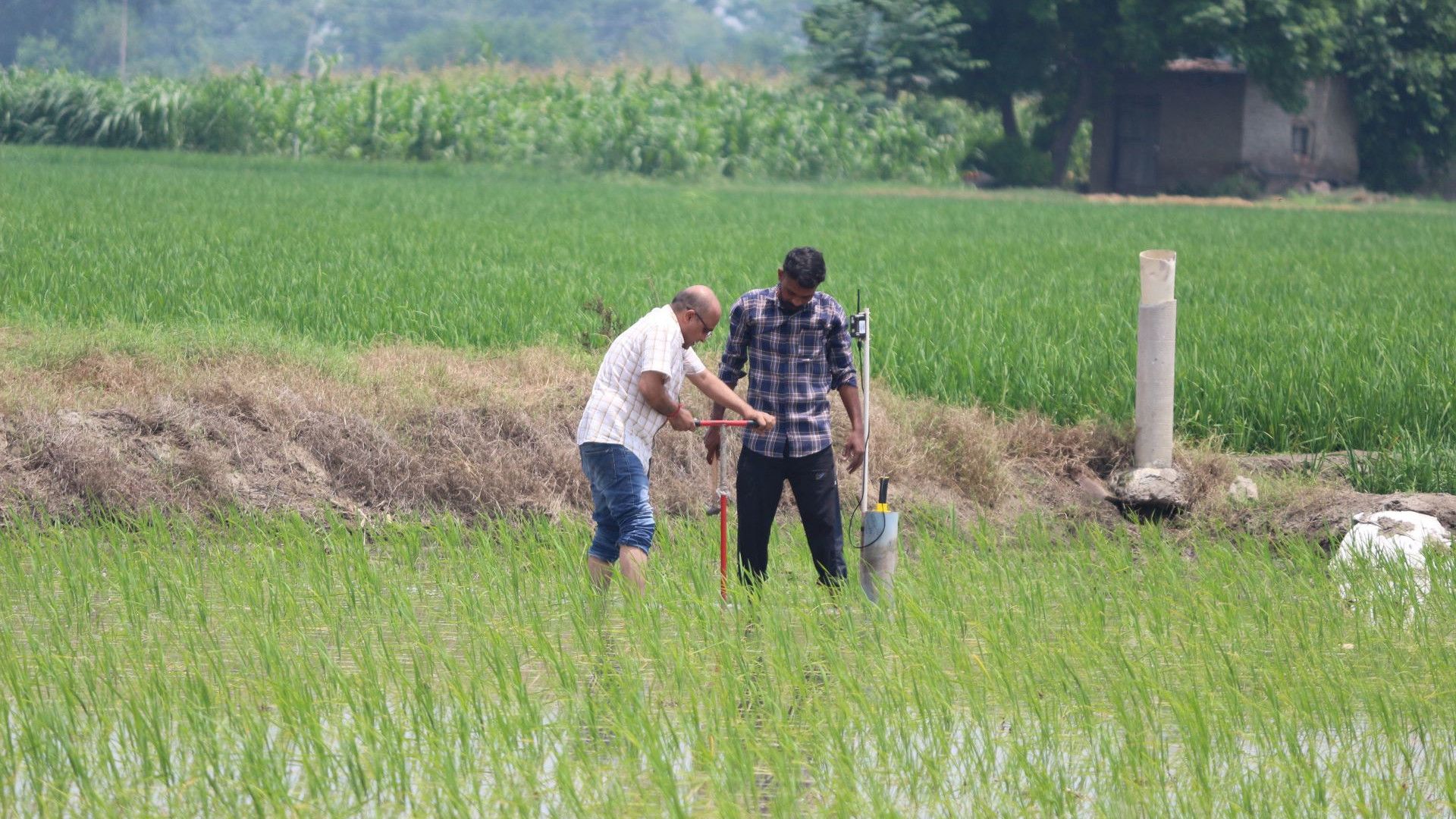 Two men installing a IoT-based soil moisture sensor.
