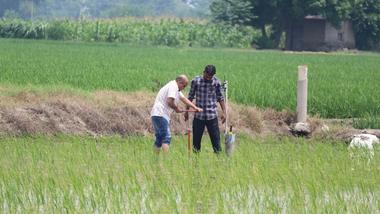 Two men installing a IoT-based soil moisture sensor.