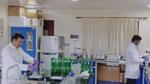 Two scientists in lab coats and gloves conduct tests in a laboratory.