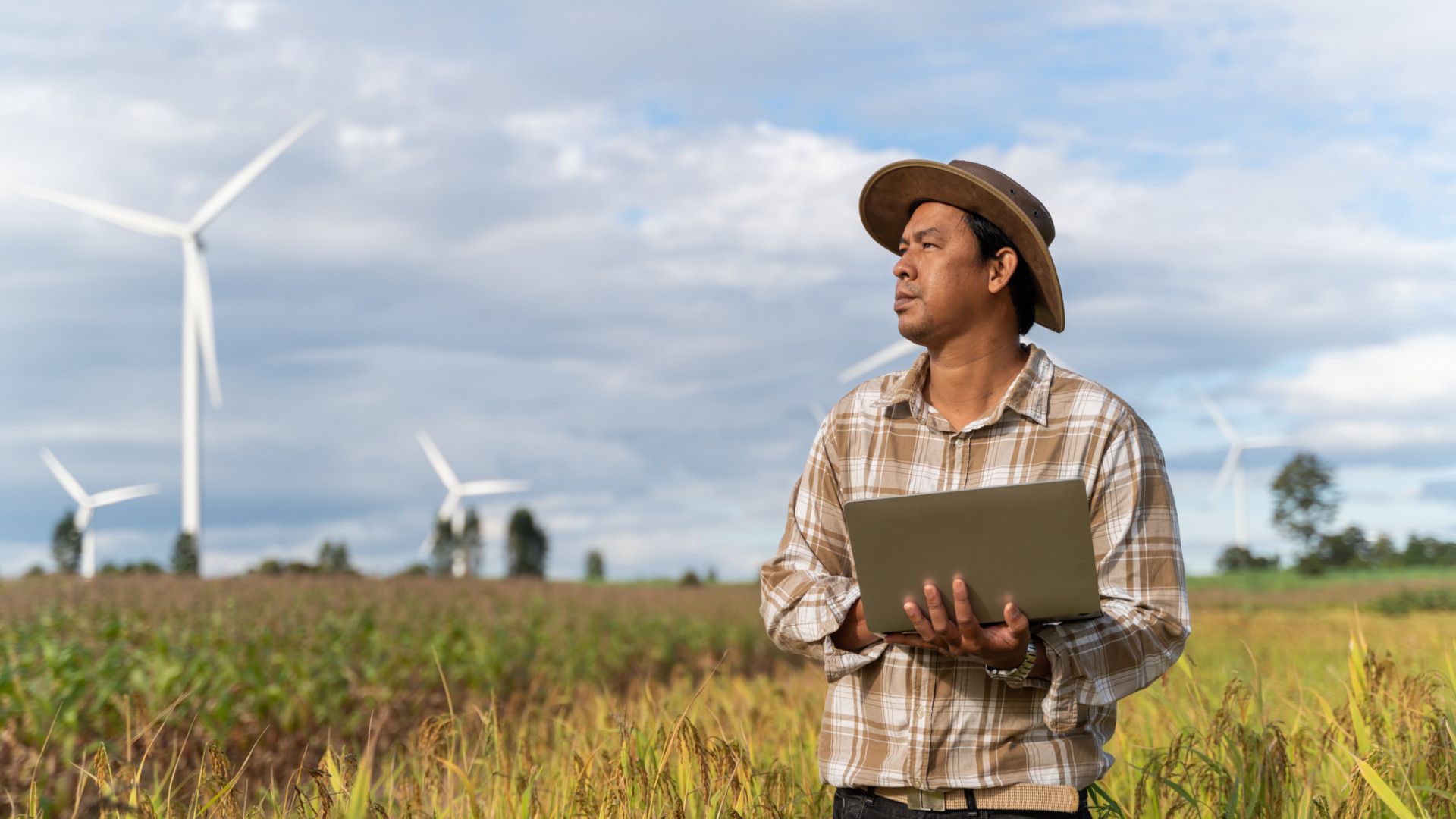 Asian farmer standing in a field, using his laptop to analyse crop data. Wind turbines can be seen in the background.