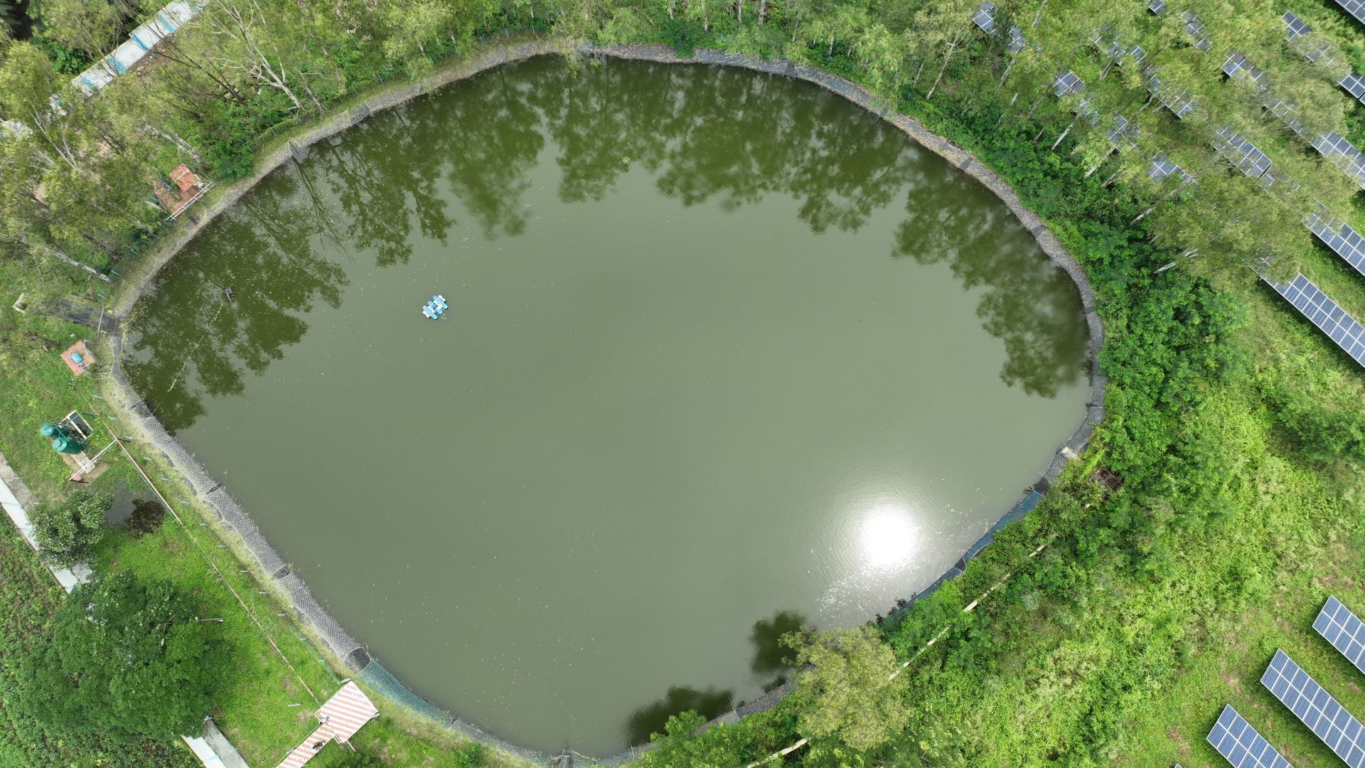 Aerial view of a pond surrounded by trees and grass.