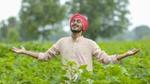 An image of a happy farmer.