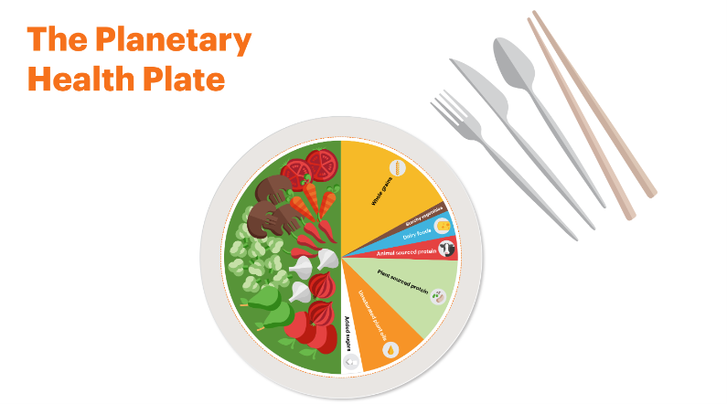 visual of the EAT-Lancet planetary health diet plate