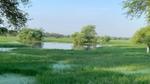 An reference image a wetland site with water and green grass and trees.
