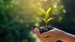 Image of a person's hands holding soil and a small leaf.