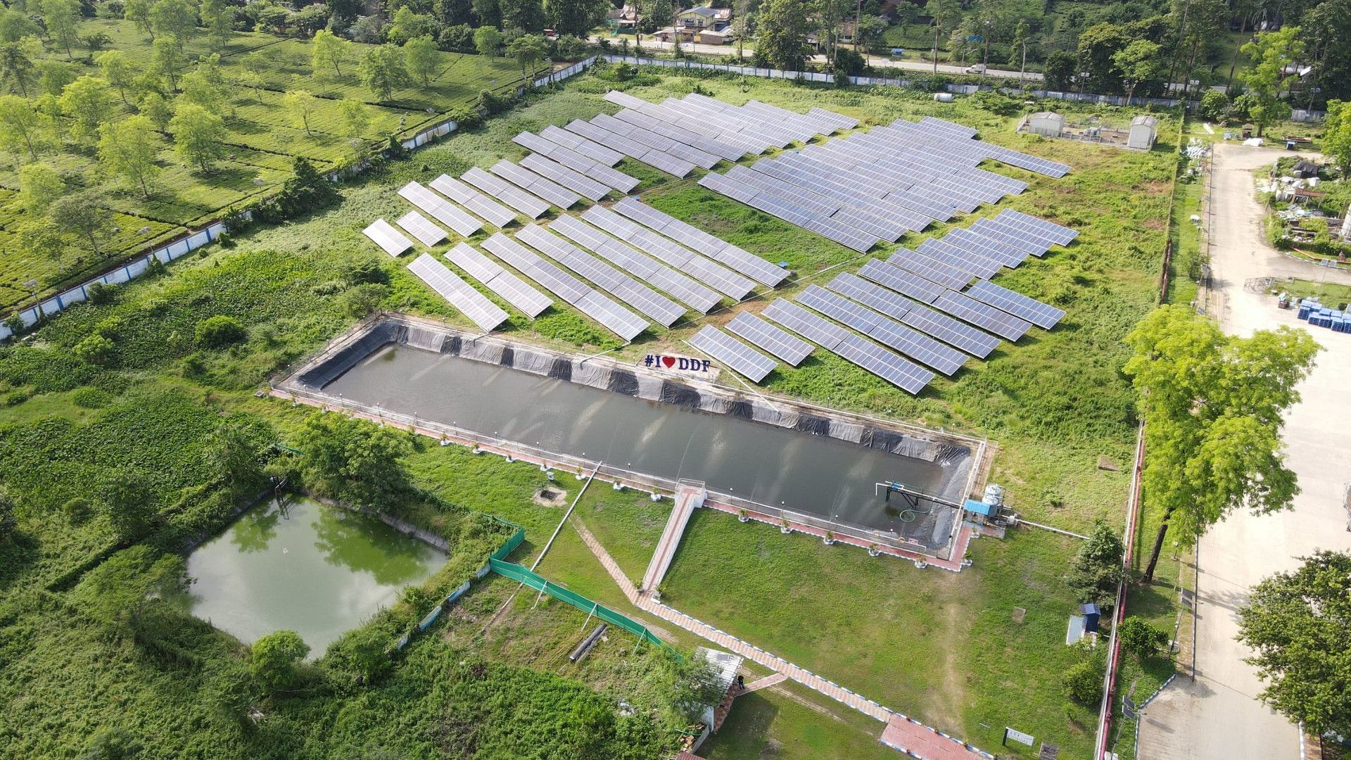 Solar panels at HUL factory in Doom Dooma