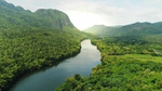 An image of a lush green forest surrounding a river with mountains on both sides connected to the valley.