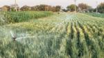 An agricultural farm with an irrigation facility watering a field of crops.