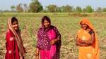 Three women standing in a field, wearing bright garments, with trees in the background.