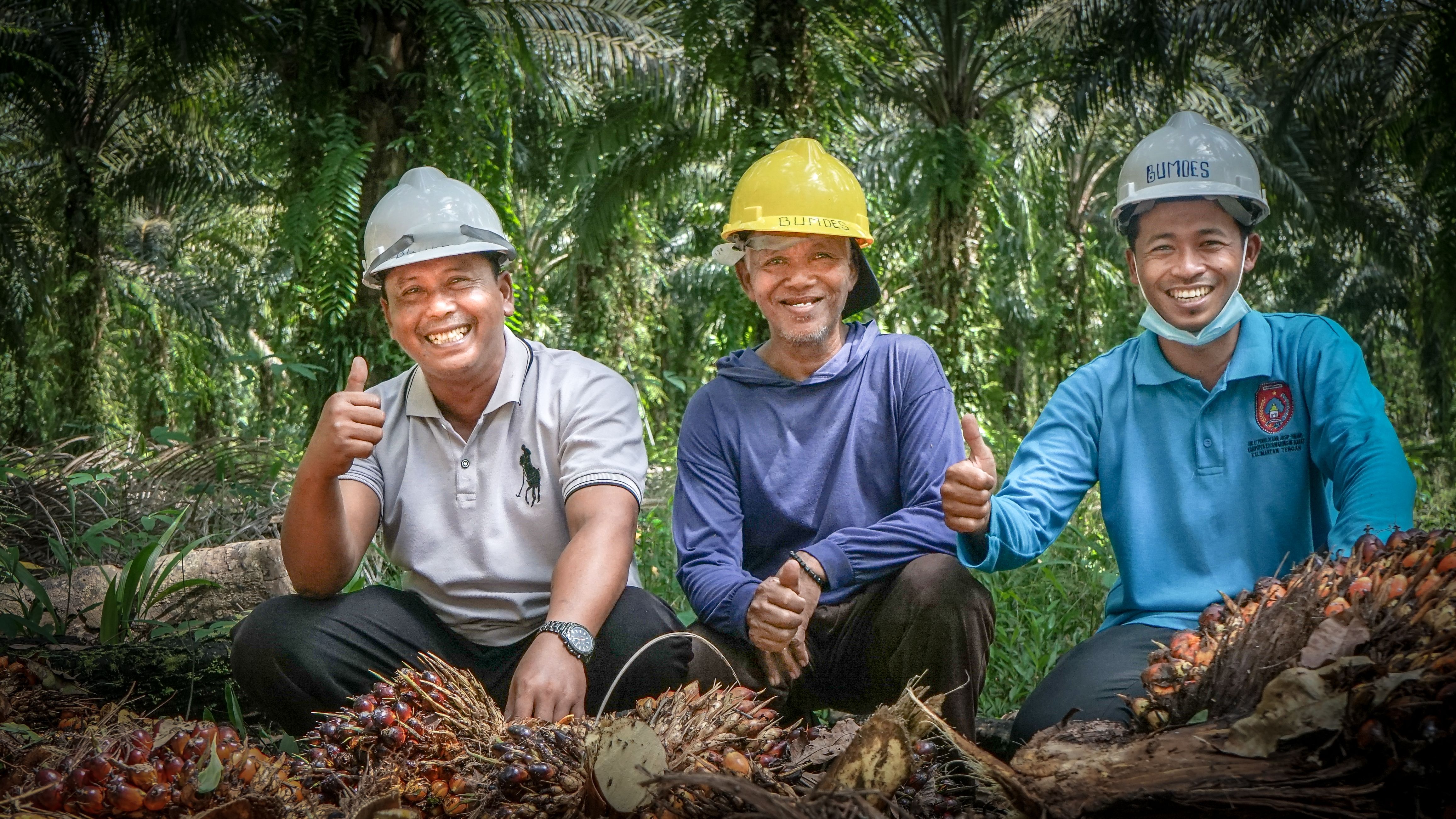 Three workers wearing helmets are sitting on the ground in a palm plantation, smiling and giving thumbs-up gestures.