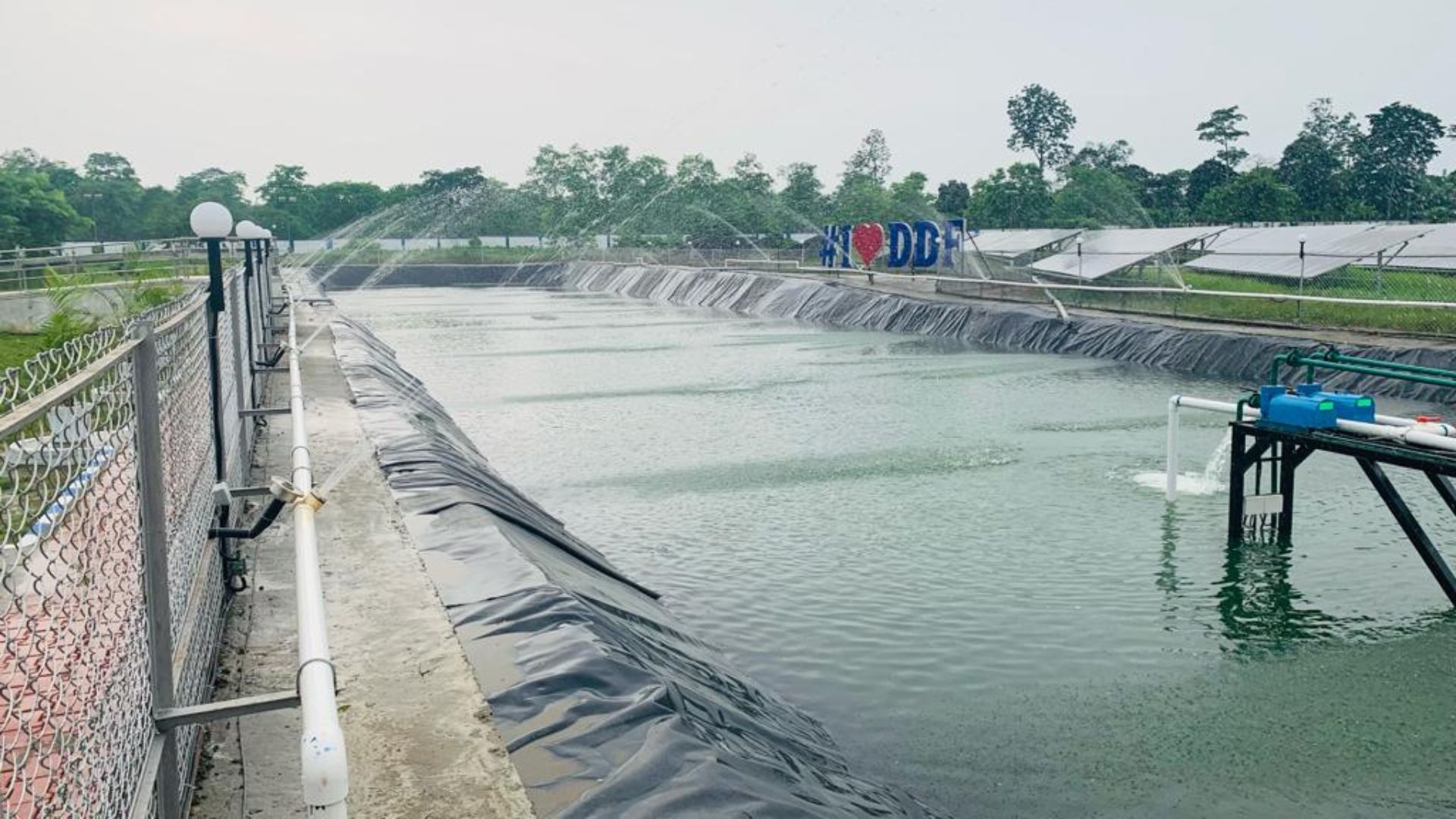 An image of a rainwater harvesting pond at HUL’s Doom Dooma Site in Assam, India.
