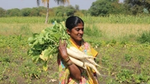Rukmini farmer Kisan