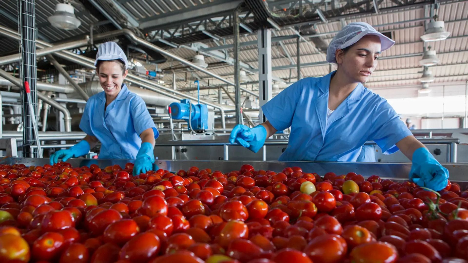 Production staff work in a factory
