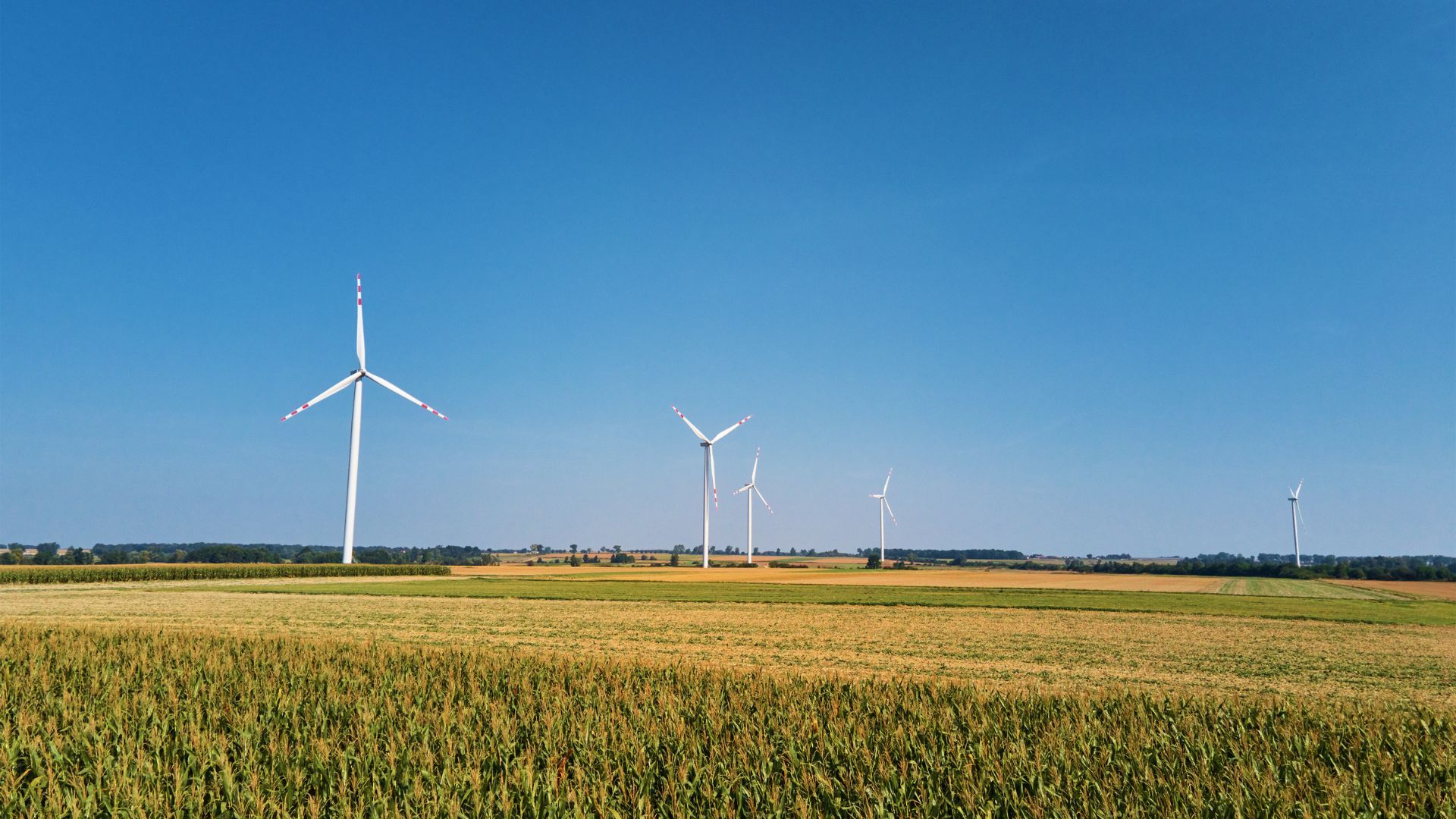 Image of windmill turbine in a field.